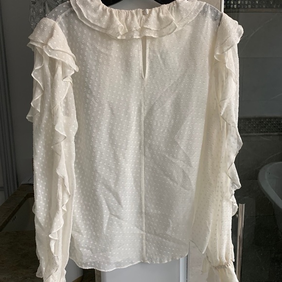 Zimmermann Super 8 Dot Ruffle Silk-Blend Blouse - Picture 11 of 11